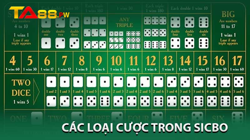 các loại cược trong sicbo