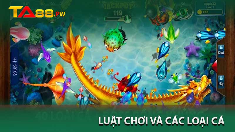 luật chơi và các loại cá